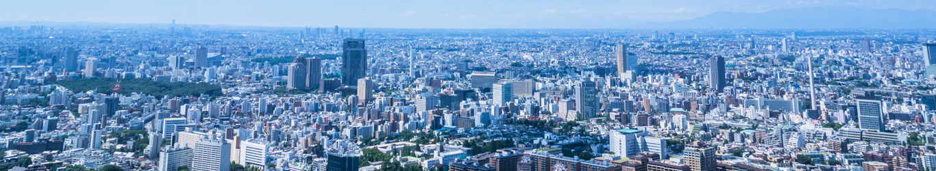 活動報告(お知らせ)